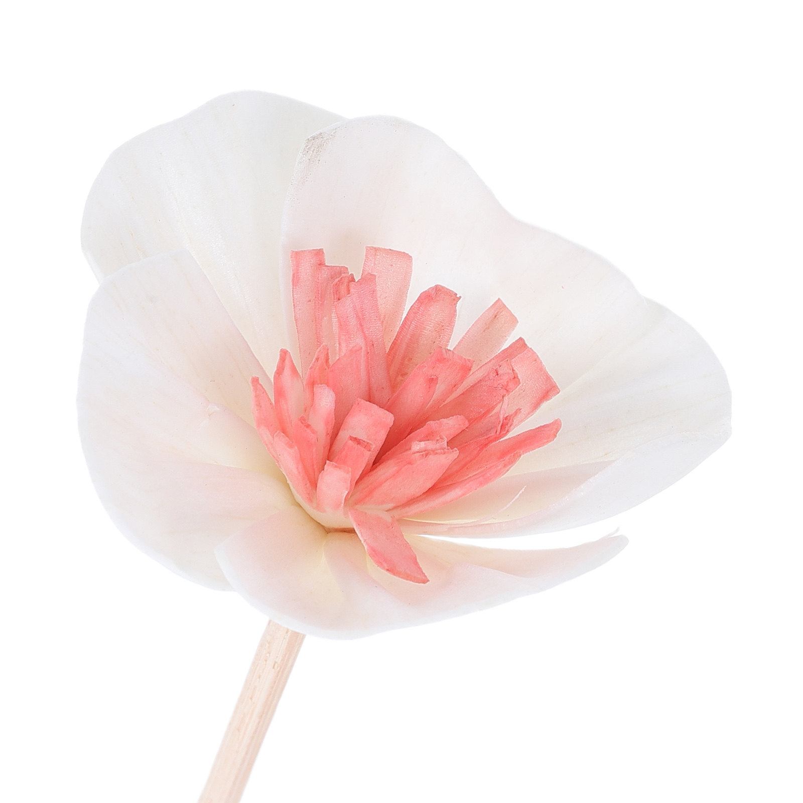 10 Adet Siyah Esans Yağı Difüz - Home Fragrance Stick incelemesi ve fiyatı