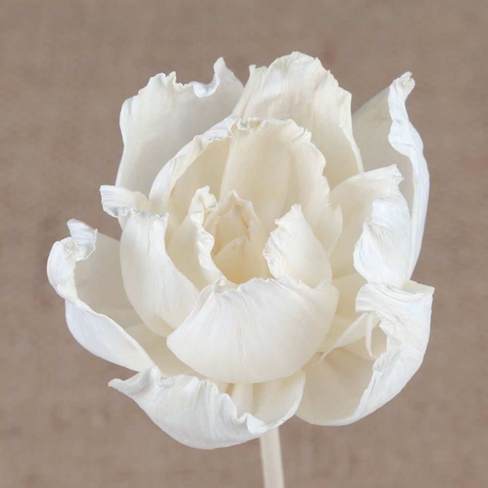 Çok Amaçlı 5cm Doğal El Yapımı - Home Fragrance Stick incelemesi ve fiyatı