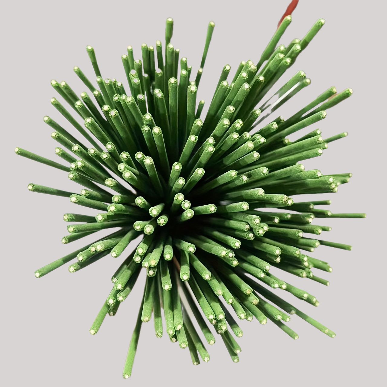 Kamış Difüzör Çubukları Limon  - Home Fragrance Stick incelemesi ve fiyatı
